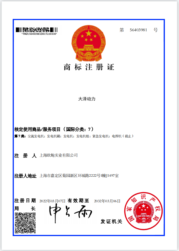 大澤動力是什么品牌